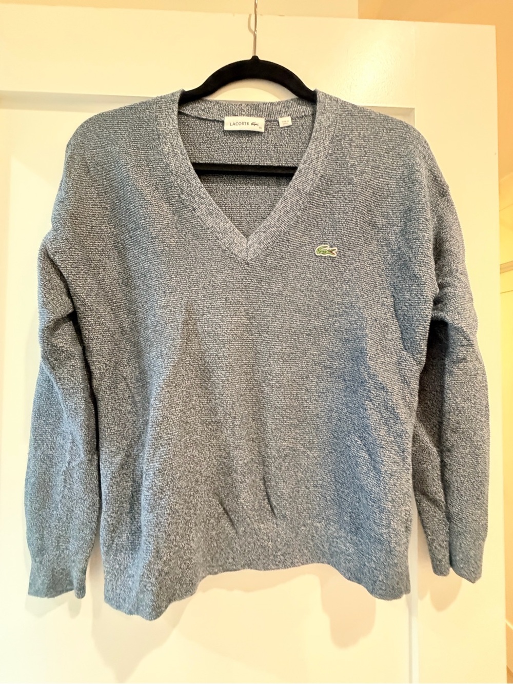 Lacoste women’s  V-Neck Cotton Blend Sweater - Light Blue